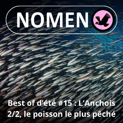BEST OF D'ÉTÉ #15 : L'Anchois 2/2, ce poisson sur votre pizza est le plus pêché au monde
