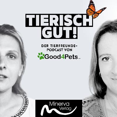 „Wenn Stille heilt – und Biologie die Sprache deines Pferdes spricht“
