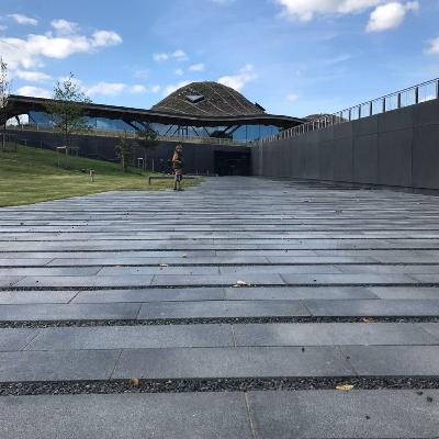 How To Do A Scotch Whisky Tasting How To Do A Scotch Whisky Tasting