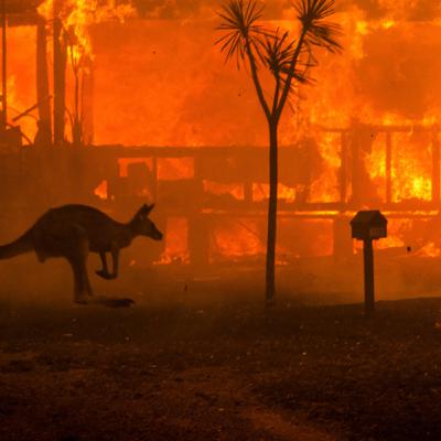 Australia Wildfires Podcast