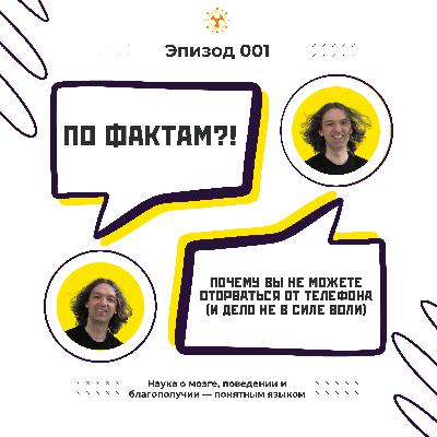 WTF!? 001: Почему вы не можете оторваться от телефона (и дело не в силе воли)
