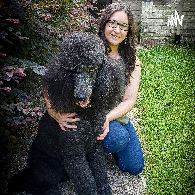 Dog Talk:Episode 4 American Lab vs. English Lab