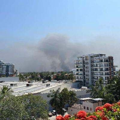 Violence in Puerto Vallarta and what travellers should consider