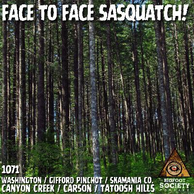 A Retired Military Veteran Shares His Face-to-Face Sasquatch Encounter in Gifford Pinchot National Forest A Retired Military Veteran Shares His Face-to-Face Sasquatch Encounter in Gifford Pinchot National Forest