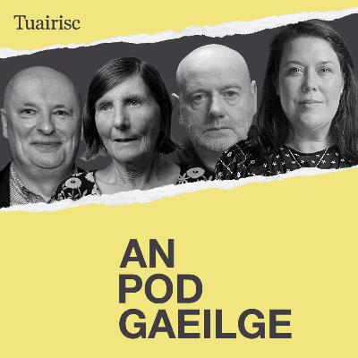 ‘Ní fíorghaelachas ná ardnósachas é seo, tá ciall ag brath ar na rudaí seo’ – tábhacht cheartúsáid na Gaeilge