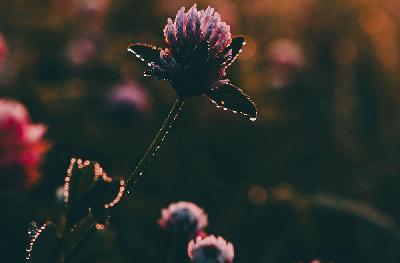 Svētrīts. Studijā mācītājs Ivars Jēkabsons