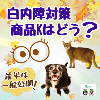 #1028. 白内障対策にサングラス系「商品K」はどう❓(質問に回答) #1028. 白内障対策にサングラス系「商品K」はどう❓(質問に回答)