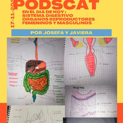 En el dia de hoy: sistema digestivo y sistema reproductor femenino y masculino
