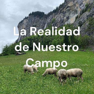 Marta Martín, Premio a la excelencia Marta Martín, Premio a la excelencia