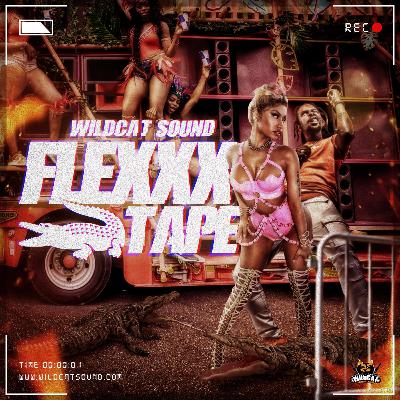 WILDCAT SOUND - FLEXXXTAPE [2018 MIX FEAT VYBZ KARTEL, NICKI MINAJ, POPCAAN, 6IX9NINE..]