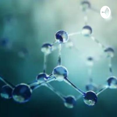 La insulina y la dieta II