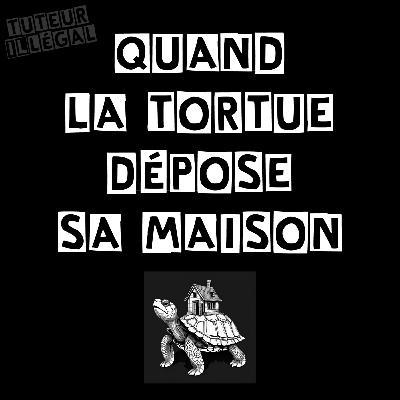 Quand la tortue dépose sa maison