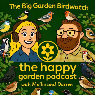 The Big Garden Birdwatch The Big Garden Birdwatch