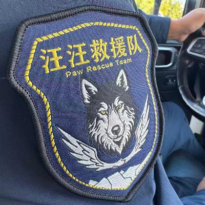 E862.汪汪队：7 年我们救出了 270 人