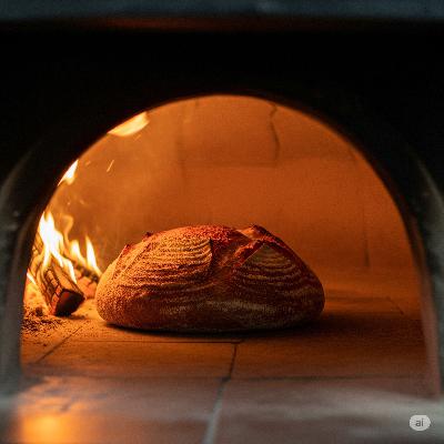 Capítulo 205: La mesa de mezclas Zoom P4 y un bollo de pan