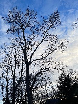 Can you find your feet on the earth?