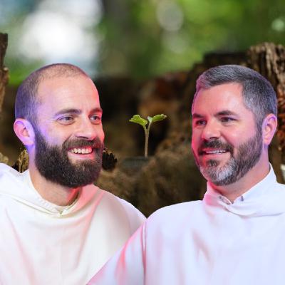 Lectio: Second Sunday of Advent