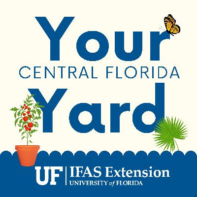 Fruit Trees for Your Central Florida Yard