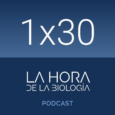 1x30: La letalidad de virus y bacterias