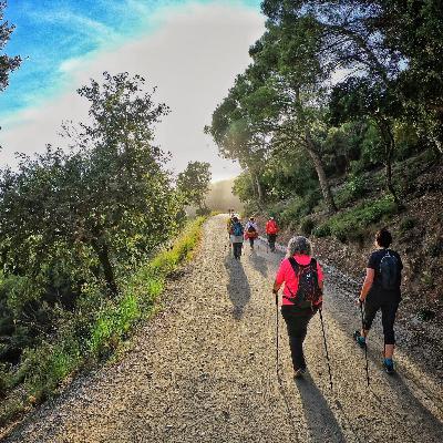 18. Marxa nòrdica a Collserola