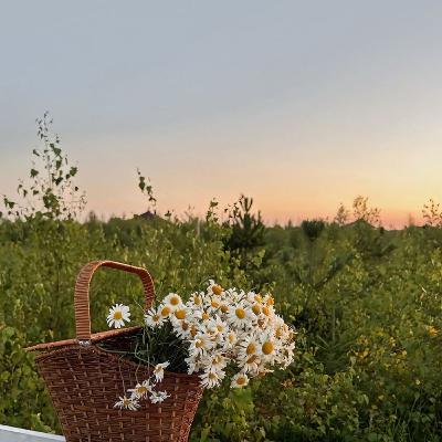 Hurt by Others ( Yasmine Mogahed)