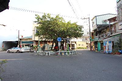 #走讀 02-嘉義民鄉 菁埔村 介紹 貓咪彩繪村、樹神信仰 #走讀 02-嘉義民鄉 菁埔村 介紹 貓咪彩繪村、樹神信仰