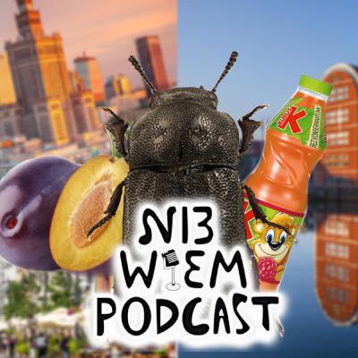 Ni3 Wiem Podcast (167) - Mrzygłodek mrzygłodek znalazłem go na plaży… ft Inkoguto