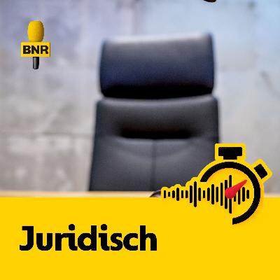 Massaschadewet werkt nog niet naar behoren: ‘massaclaims lopen vast voordat ze beginnen’