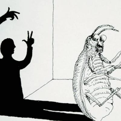 Metamorphosis
