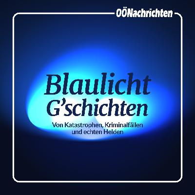 #011 - Mord im Linzer Rotlichtmilieu