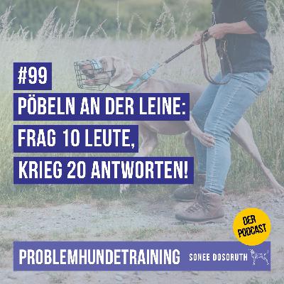 Pöbeln an der Leine - Frag 10 Leute, krieg 20 Antworten! Pöbeln an der Leine - Frag 10 Leute, krieg 20 Antworten!