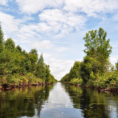 Cerita pendek horror "Sungai di tengah Hutan" #CPH eps 11 S2 Cerita pendek horror "Sungai di tengah Hutan" #CPH eps 11 S2