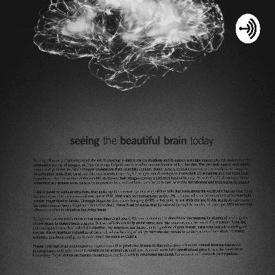 The Cellebrum, The Thalamus And The Hypothalamus