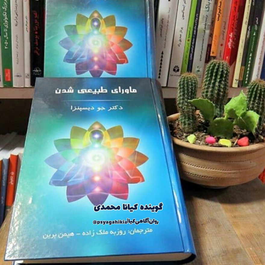 "بدن‌درقالب‌آهنربا"