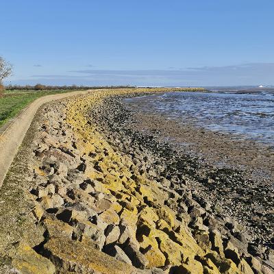 Sound Escape 252. Enjoy sunshine and peace along the seawall of the Bristol Channel