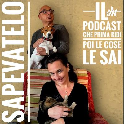 14 - Sapevatelo - Ai Tempi in cui Berta Filava