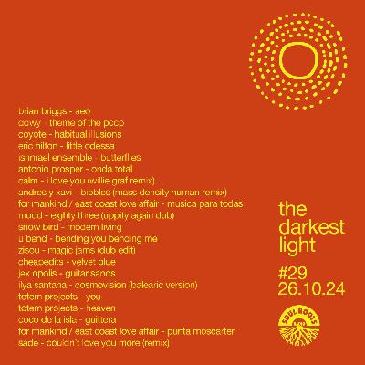 Episode 29: the darkest light #29