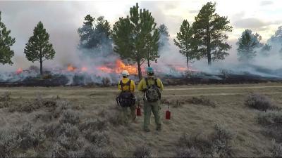 Departments of Interior and Agriculture Announce Wildland Fire Service Plan to Modernize Federal Wildfire Response
