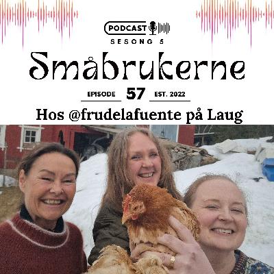 Vibeke på Laug @frudelafuente om å leve på småbruk, dyrking, mat og å herme etter naturen