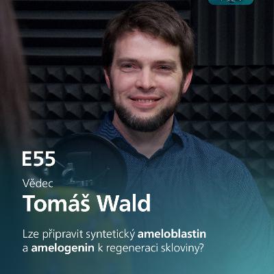 E55: Vědecky o sklovině na myších modelech s Tomášem Waldem
