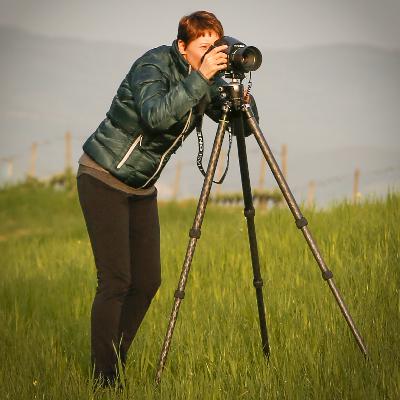463: Colleen Parker - Navigating External Validation in Photography