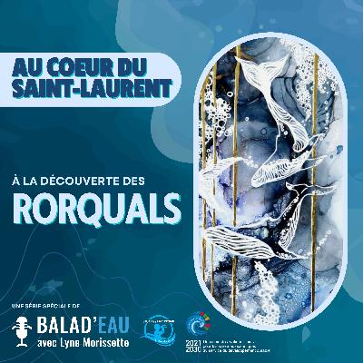 AU COEUR DU SAINT-LAURENT: à la découverte de la BALEINE BLEUE et des GRANDS RORQUALS