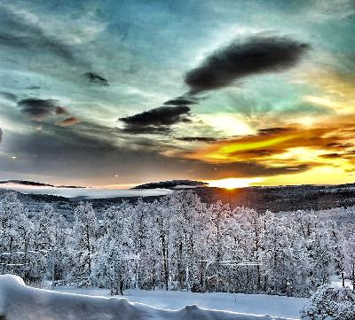 14. Vinterns portal 14. Vinterns portal