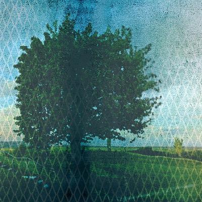 Die Zwangsumsiedlung (2/4)