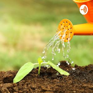 Weeding the Mind Garden - Rees Haynes