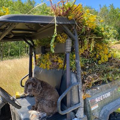 U.S. organic agriculture: is 3% annual growth enough? U.S. organic agriculture: is 3% annual growth enough?