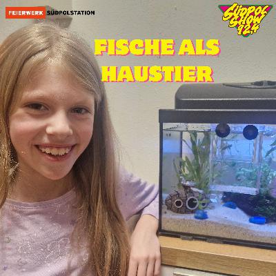 Spannender als gedacht? │Mein Haustier: Der Fisch