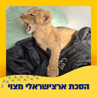 סחר בבעלי חיים