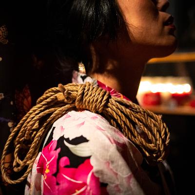 Unveiling the Art of Bondage - Bonus