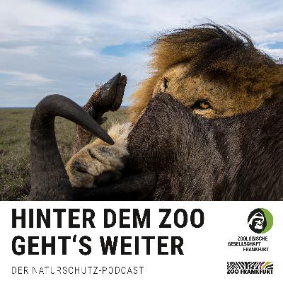 Fressen und gefressen werden: Wie Tierpopulationen gesund bleiben